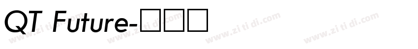 QT Future字体转换